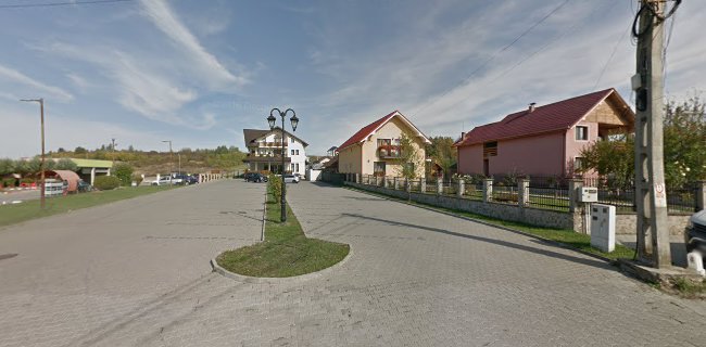 Comentarii opinii despre Restaurant Pensiunea Premier