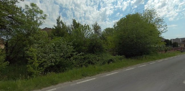 Delice Catering & Sweets