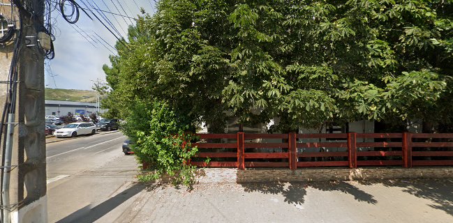 OLTINA IMPEX PROD COM S.R.L.