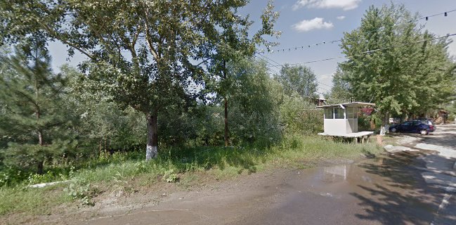 Laghetto Bar e Ristorante