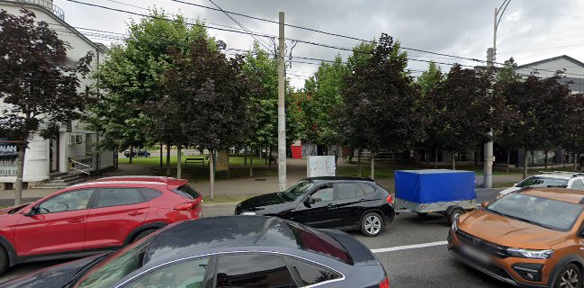 Florăria Severineanu