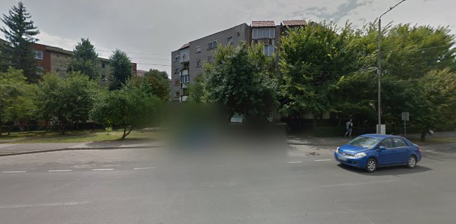 Alina Gospodina - Arad