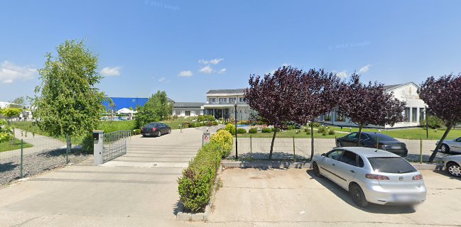 Opinii despre Papillon Elite în Albota - Gastronomie și ospitalitate