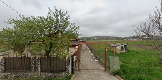 Produse bio de la tara