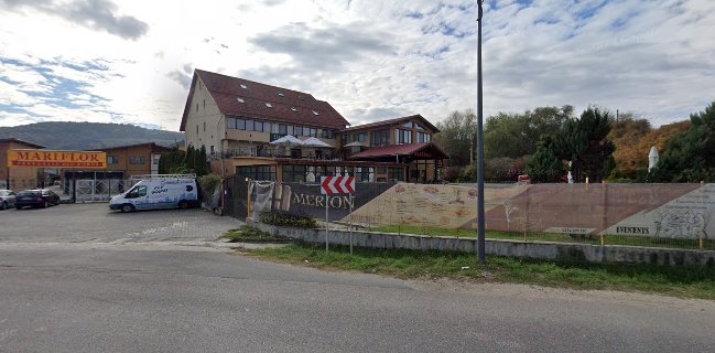 Hotel-Restaurant Merion