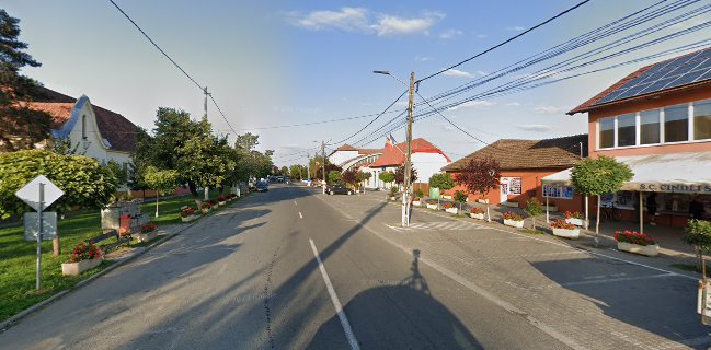 Adeladan SRL - Recaș