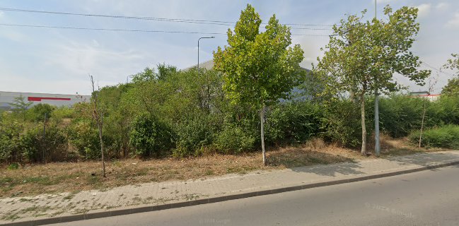 Alfa Alim Patiserie Congelată