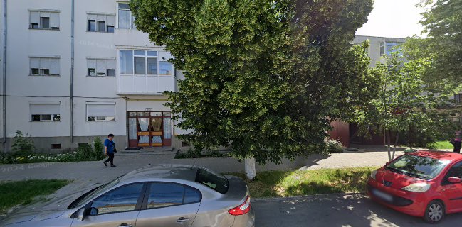 PicoBelo Florarie Fetesti