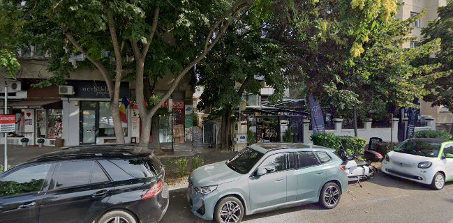 Roastelier domenii/ Burger show/ French bachery domenii